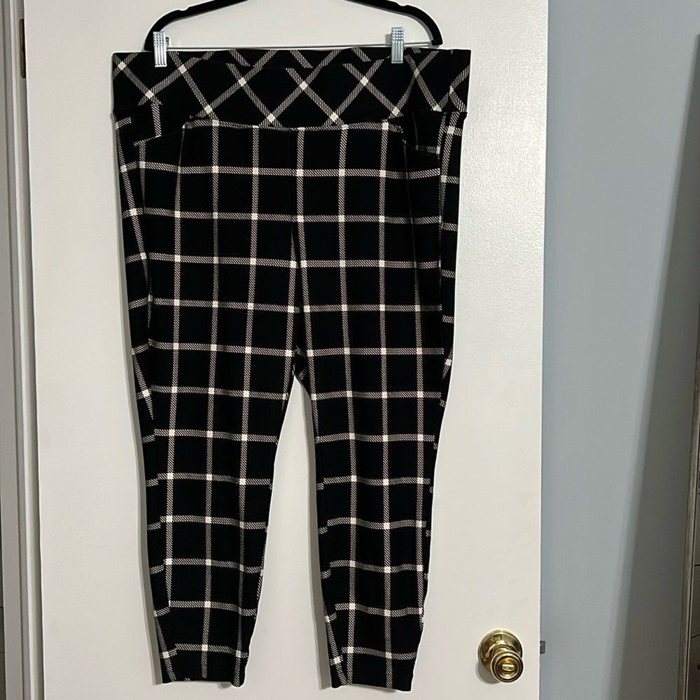 Studio by Torrid pull on pocket pixie